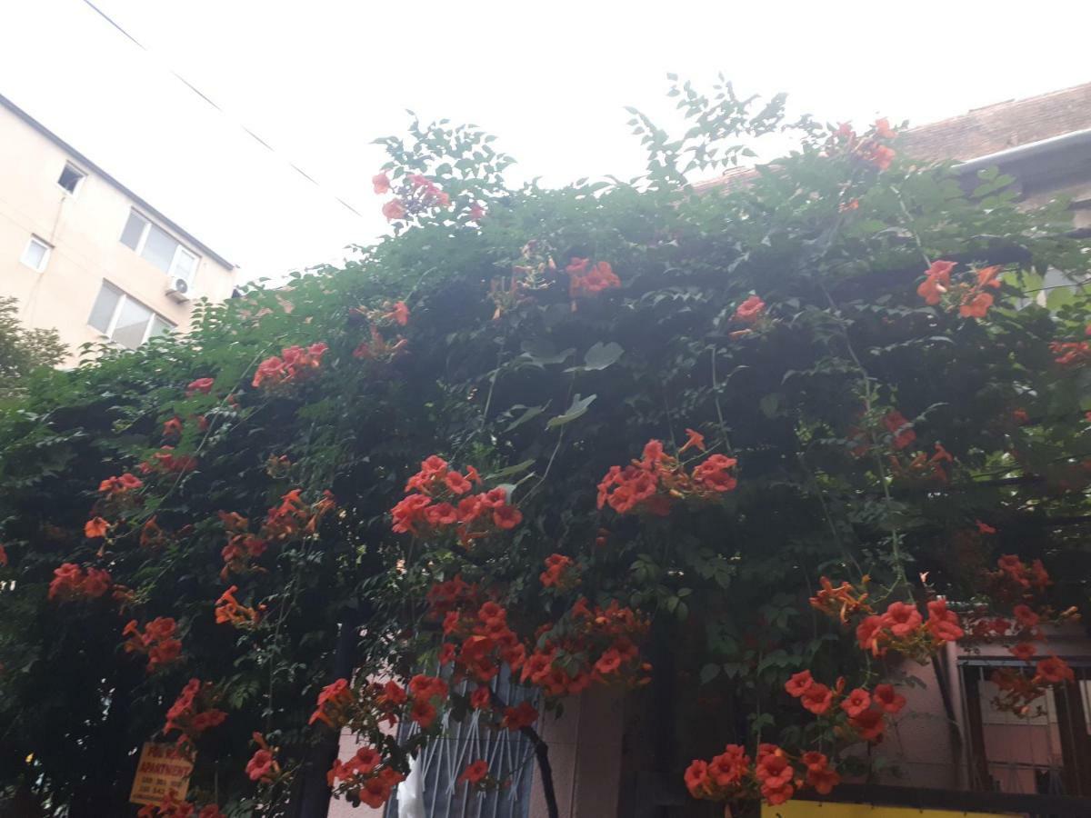 Aparthotel Agmashenebeli95 Tiflis Exterior foto
